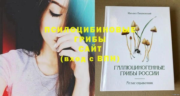 mix Аркадак