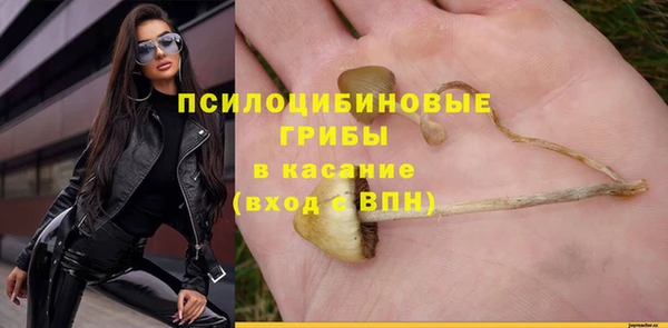 mix Аркадак