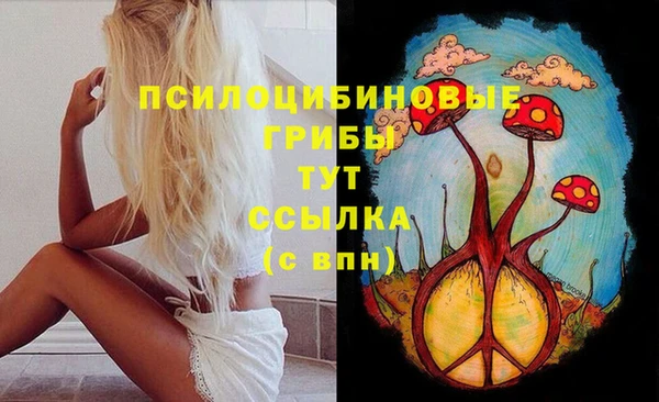 mix Аркадак