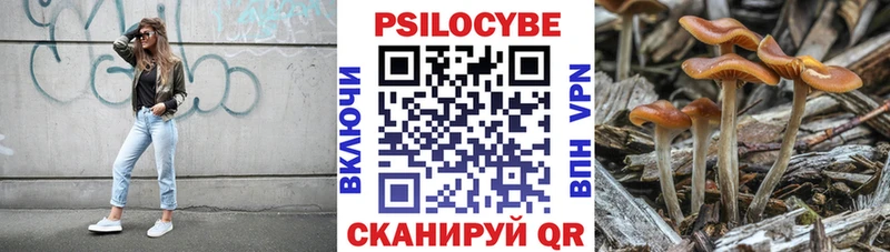 Купить  Талица  Псилоцибиновые грибы прущие грибы 